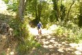 10_sendero_palmiano
